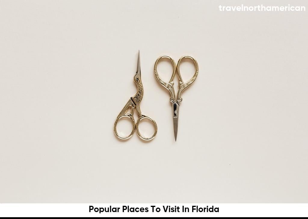 Popular Places To Visit In Florida